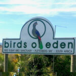 Birds of eden