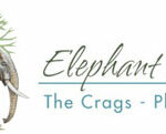 Elephant Sancuary