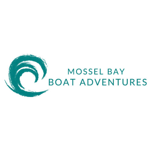 Mossel Bay Boat Adventures
